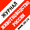 www.zzr.ru