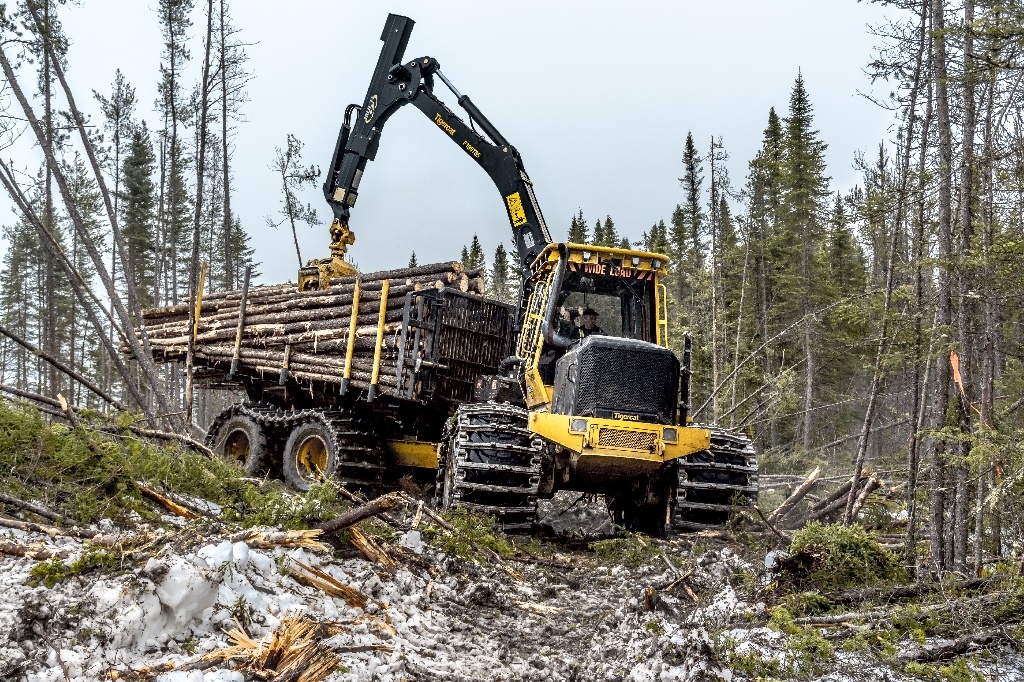 Канадскую лесозаготовительную технику Tigercat привезут на выставку «ЭКСПОДРЕВ»